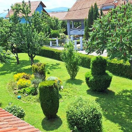 Apartman Marija Brajdic Раковица Экстерьер фото