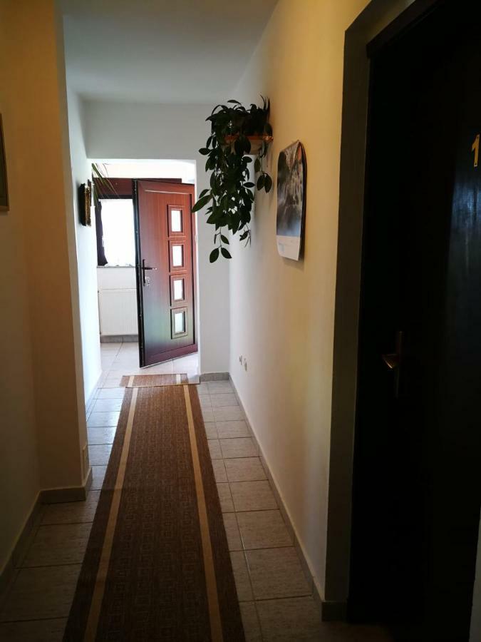 Apartman Marija Brajdic Раковица Экстерьер фото
